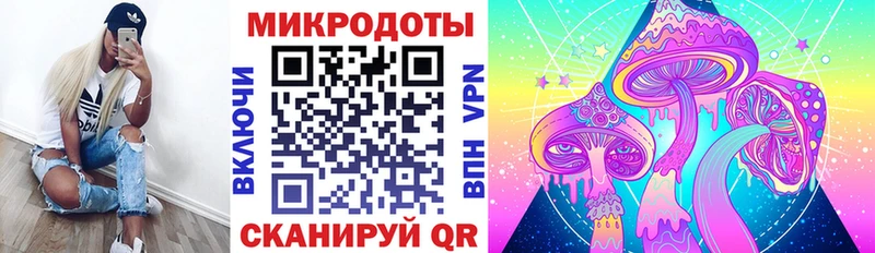 купить закладку  Черняховск  Псилоцибиновые грибы Cubensis 